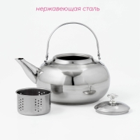 Заварочный чайник Доляна &laquo;Гретель&raquo;, 1,6 л, металлическое сито, нержавеющая сталь, хромированный