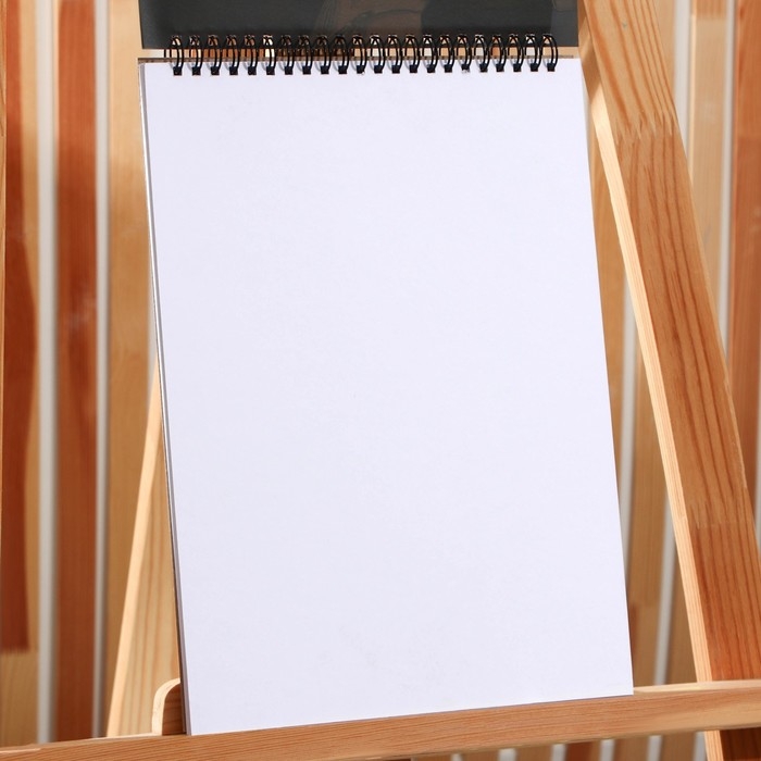 Скетчбук А4, 32 листа, 190 г/м2 &laquo;Девушка с сережкой&raquo;