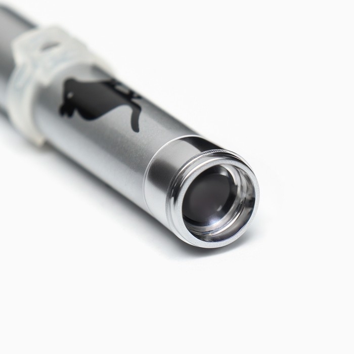 Лазерная указка для кошек "Мышка" с батарейками