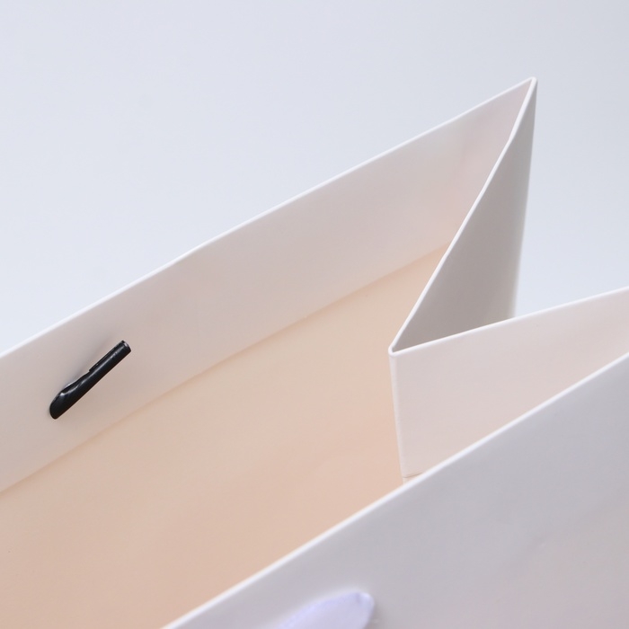 Пакет ламинированный вертикальный "Белый", XXL  46 х 61 х 20 см