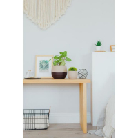 Горшок для цветов с поддоном «Дуэт», 2.5 л, цвет шоколадный-кофе с молоком Горшок для цветов с поддоном «Дуэт», 2.5 л, цвет шоколадный-кофе с молоком