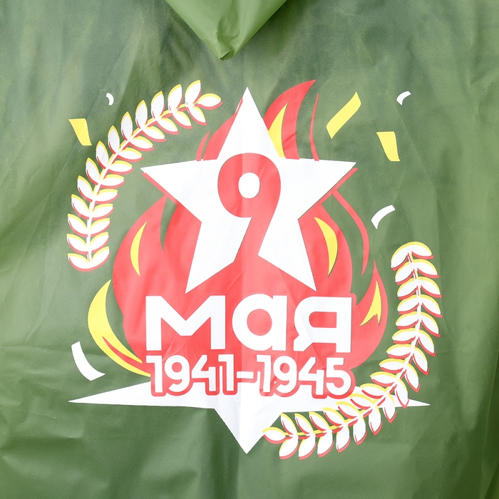 Карнавальный набор &laquo;Мы помним, мы гордимся!&raquo;, р. 42&ndash;54, дождевик, флажок