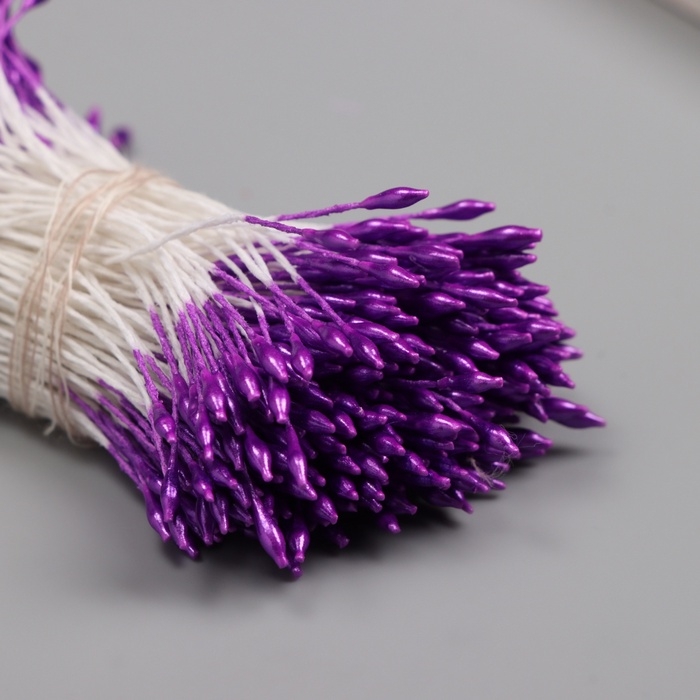 Тычинки для искусственных цветов глянец Тычинки для искусственных цветов глянец "Рисинки" фиолетовый набор 360 шт длина 6 см