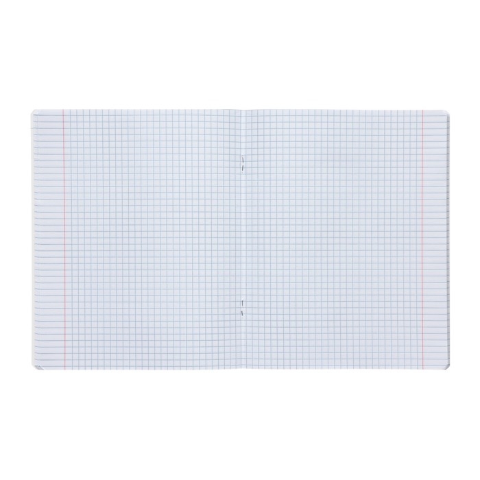 Тетрадь предметная "Зверобудни", 48 листов в клетку "История", обложка картон, ламинация SoftTouch