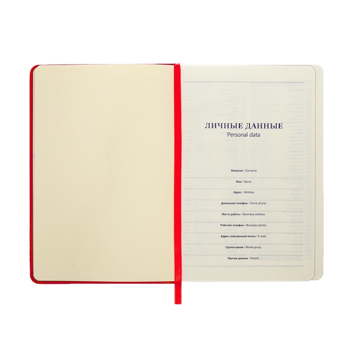 Ежедневник недатированный A5, 140л, клетка, кожзам, на резинке, черный срез, Фуксия