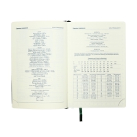 Ежедневник НЕдатированный А5, 136 листов в линейку, кожзам "Небраска", золотой срез, зеленый