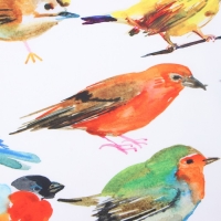 Фартук Доляна Птички 70*80 см, 100% п/э Фартук Доляна Птички 70*80 см, 100% п/э