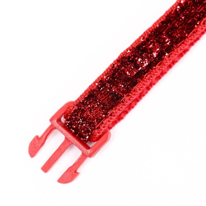 Ошейник двухслойный с фастексом Ошейник двухслойный с фастексом "Гламур" 30 х 1 см, красный