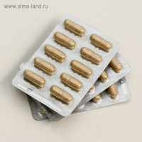 Натуральные капсулы &laquo;Секрет бобра. Лёгкие лёгкие&raquo; с продукцией пчеловодства, 30 капсул по 500 мг