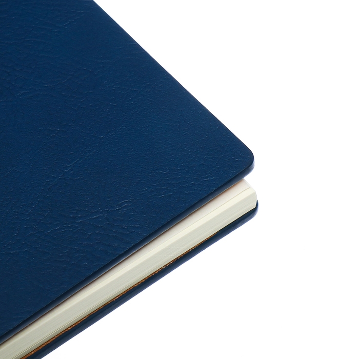 Органайзер на гребне, А5, 80л, клетка, обл.кожзам, с хлястиком, синий Органайзер на гребне, А5, 80л, клетка, обл.кожзам, с хлястиком, синий