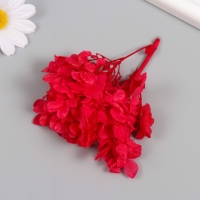 Сухоцвет "Гортензия" красный h=6-6,5 см Сухоцвет "Гортензия" красный h=6-6,5 см