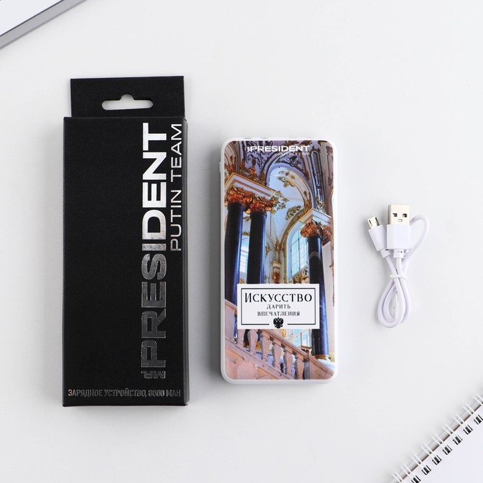 Зарядное устройство &laquo;Искусство&raquo;, 8000мА,модель PB-21, 14,5 х 6,9 см