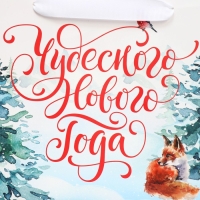 Пакет подарочный новогодний с широким дном &laquo;Новогодние чудеса&raquo;, 25 х 19 х 18 см, Новый год