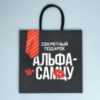 Пакет подарочный крафтовый, упаковка, «Альфа», 22 х 22 х 11 см Пакет подарочный крафтовый, упаковка, «Альфа», 22 х 22 х 11 см