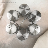 Набор для специй на подставке &laquo;Универсал&raquo;, 15&times;12 см, 100 мл, 6 шт