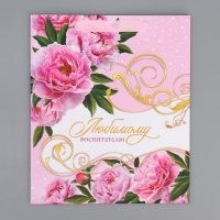 Пакет подарочный ламинированный, упаковка, &laquo;Воспитателю&raquo;, ML 21 х 25 х 8 см