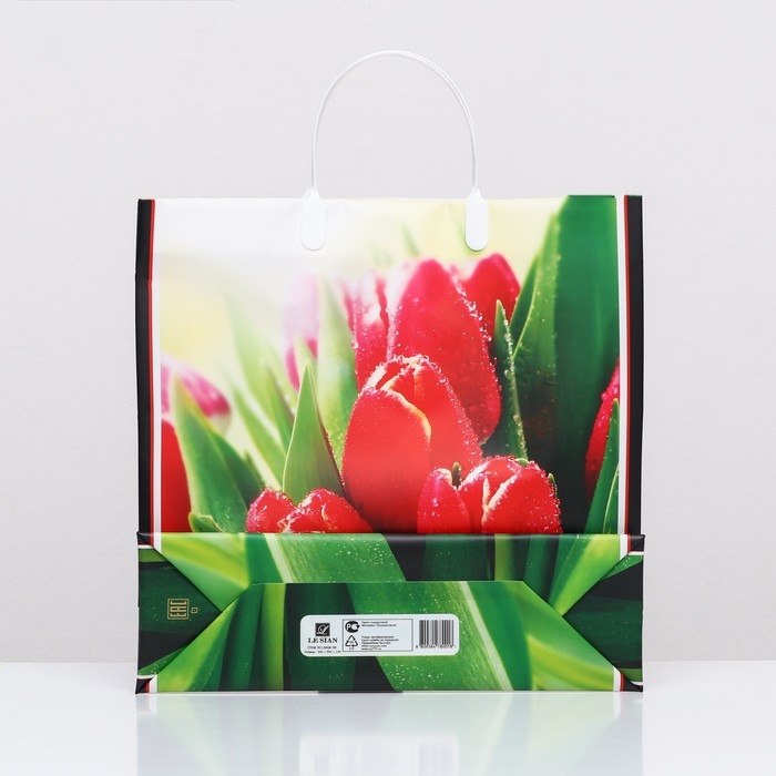 Пакет Пакет "Чудесные тюльпаны", мягкий пластик, 30 х 30 см 120 мкм