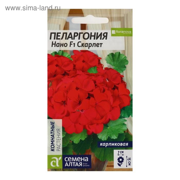 Семена цветов Пеларгония Семена цветов Пеларгония "Нано", "Скарлет", 3 шт