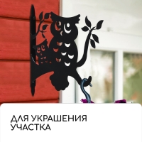 Кронштейн для кашпо, 25 см, &laquo;Сова&raquo;, Greengo