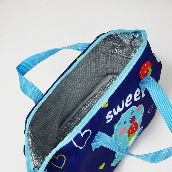 Термосумка на молнии, 4,8 л, цвет синий Термосумка на молнии, 4,8 л, цвет синий