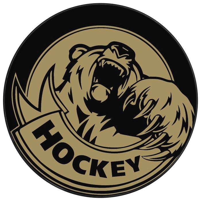 Шайба хоккейная Winter Star, взрослая, d=7,6 см