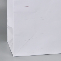 Пакет подарочный ламинированный, упаковка, «Белый», 40 х 49 х 15 см Пакет подарочный ламинированный, упаковка, «Белый», 40 х 49 х 15 см