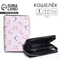 Кошелек детский &laquo;Милые котята&raquo; 12,5х9х2 см