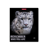 Тетрадь 48 листов в клетку, ErichKrause Strong and Brave, обложка мелованный картон, матовая ламинация, блок офсет 100% белизна, МИКС (1 вид в спайке) Тетрадь 48 листов в клетку, ErichKrause Strong and Brave, обложка мелованный картон, матовая ламинация, блок офсет 100% белизна, МИКС (1 вид в спайке)