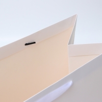 Пакет ламинированный вертикальный "Белый", XL 40 × 49 × 19 см Пакет ламинированный вертикальный "Белый", XL 40 × 49 × 19 см