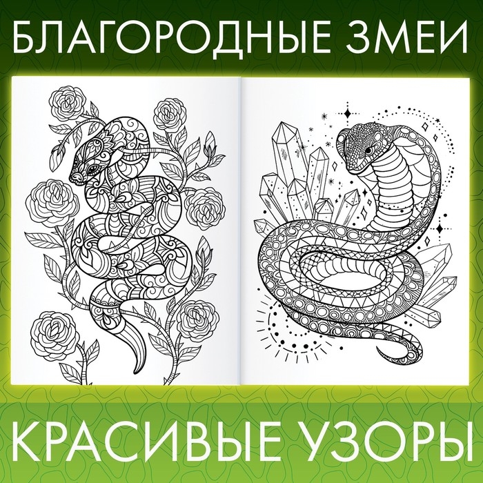 Раскраска &laquo;Прекрасные и опасные змеи&raquo;, 20 &times; 28, 32 раскраски, формат А4