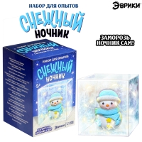 Набор для опытов &laquo;Снежный ночник: Снеговик&raquo;, своими руками