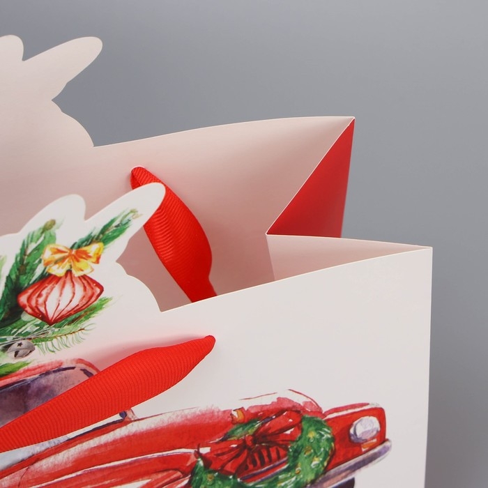 Пакет подарочный новогодний &laquo;Спешу к тебе&raquo;, 30 х 25 х 10 см, Новый год