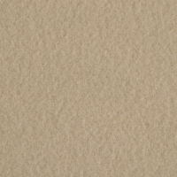 Лоскут флис, односторонний, 50 &times; 50 см, 190 г/м, цвет бежевый №2D