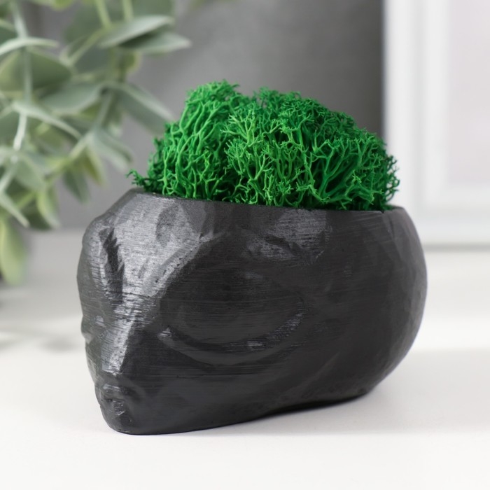 Кашпо бетонное "Пришелец" высота 5 см, d-6 см черный со мхом (мох зелен. стабилизир)
