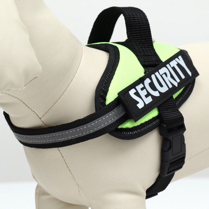 Шлейка К9 мягкая светоотражающая, размер ХS, ОГ 38-50 см, вес 3-6 кг, зелёная Шлейка К9 мягкая светоотражающая, размер ХS, ОГ 38-50 см, вес 3-6 кг, зелёная