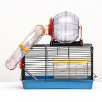 Клетка для грызунов малая с лабиринтом, колесом и домом, 40 x 25 х 22 см, микс цветов Клетка для грызунов малая с лабиринтом, колесом и домом, 40 x 25 х 22 см, микс цветов