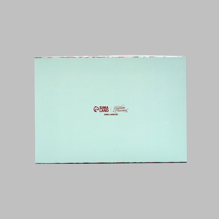 Коробка для капкейков, кондитерская упаковка, 6 ячеек Present, 23 х 16 х 10 см