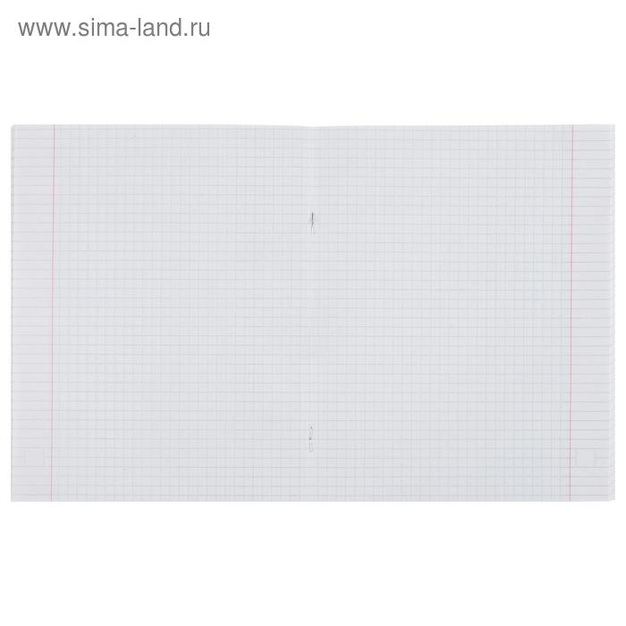 Тетрадь 48 листов в клетку Calligrata Тетрадь 48 листов в клетку Calligrata "Фразы", обложка мелованный картон, УФ-лак, блок офсет, МИКС