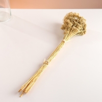 Набор сухоцветов "Тысячелистник", банч длина 60 (+/- 6 см), выбеленный Набор сухоцветов "Тысячелистник", банч длина 60 (+/- 6 см), выбеленный