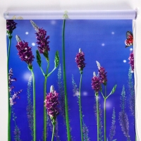 Штора рулонная &laquo;Лаванда&raquo;, 90&times;200 см (с учётом креплений 3,5 см)