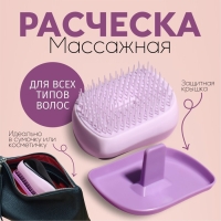 Расчёска массажная, с крышкой, 5 × 9 см, PVC-коробка, цвет МИКС Расчёска массажная, с крышкой, 5 × 9 см, PVC-коробка, цвет МИКС