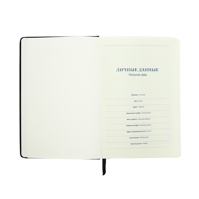 Ежедневник НЕдатированный А5, 136 листов в линейку, кожзам "Небраска", золотой срез, черный