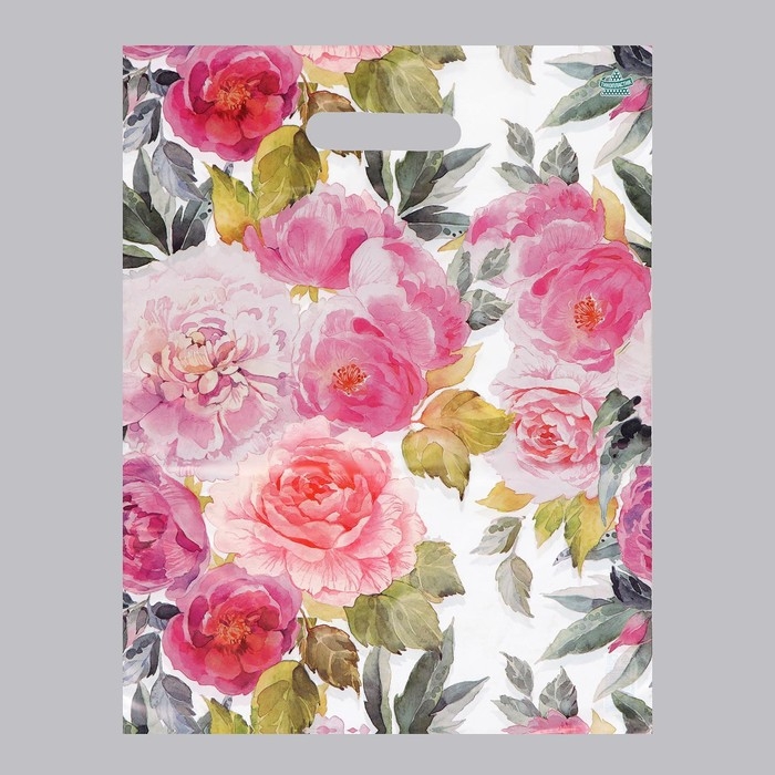 Пакет Пакет "Акварельные пионы", полиэтиленовый с вырубной ручкой, 40 х 31 см, 30 мкм, набор 5 шт