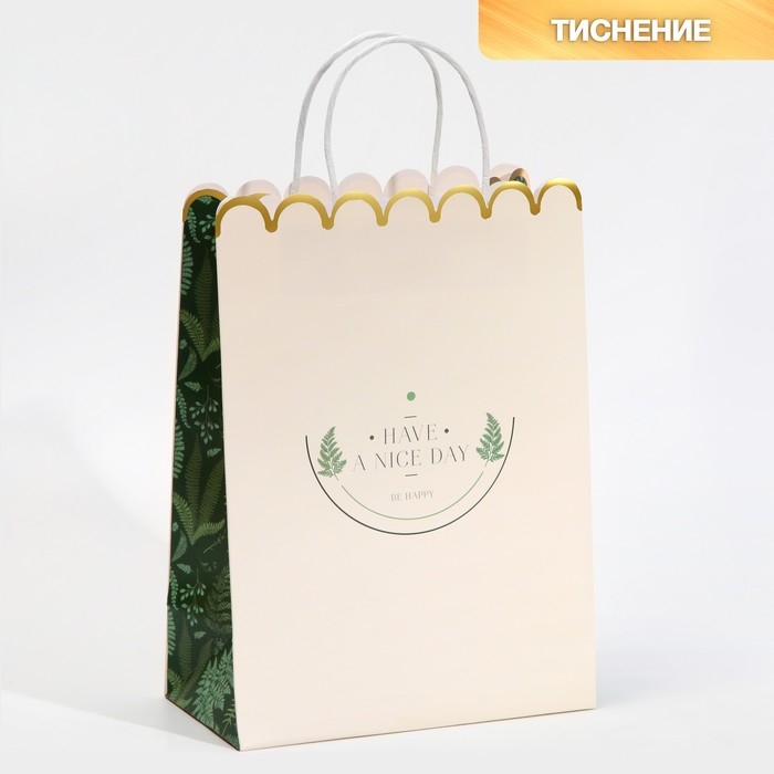 Пакет подарочный крафтовый, упаковка, &laquo;Nice day&raquo;, 23 х 30 х 12 см