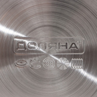 Чайник со свистком из нержавеющей стали Доляна &laquo;Каррар&raquo;, 2,8 л