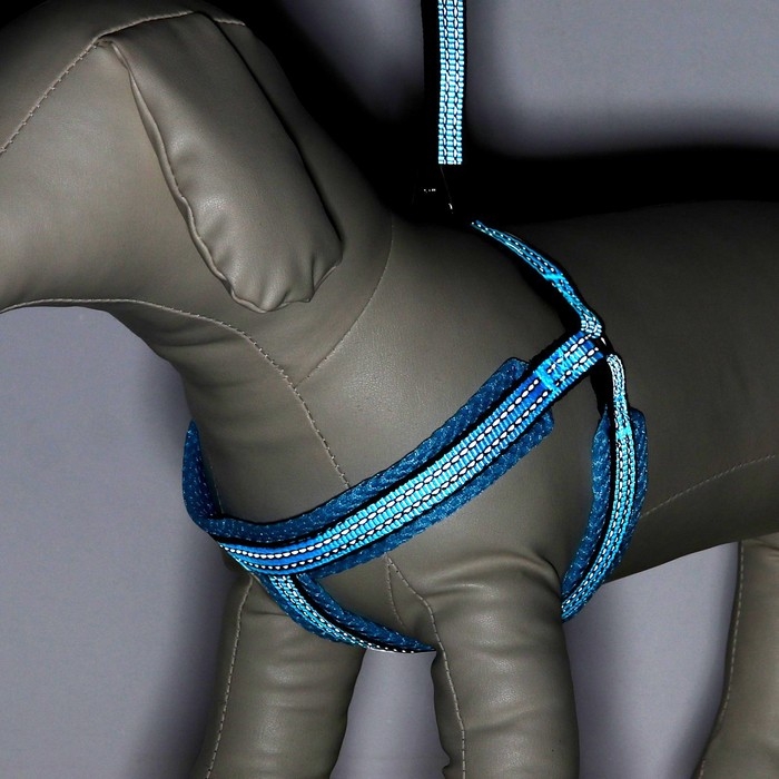 Шлейка супермягкая со светоотражающей прошивкой, размер М, обхват 32-63 см, голубая Шлейка супермягкая со светоотражающей прошивкой, размер М, обхват 32-63 см, голубая