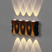 Светильник фасадный &laquo;Глосс&raquo;, FSD-044, 8 Вт, 3000К, 4 луча, IP65, 220 В, пластик, черный