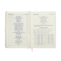 Ежедневник недатированный A5, 140л, клетка, кожзам, на резинке, бирюзовый срез, Розовый Ежедневник недатированный A5, 140л, клетка, кожзам, на резинке, бирюзовый срез, Розовый