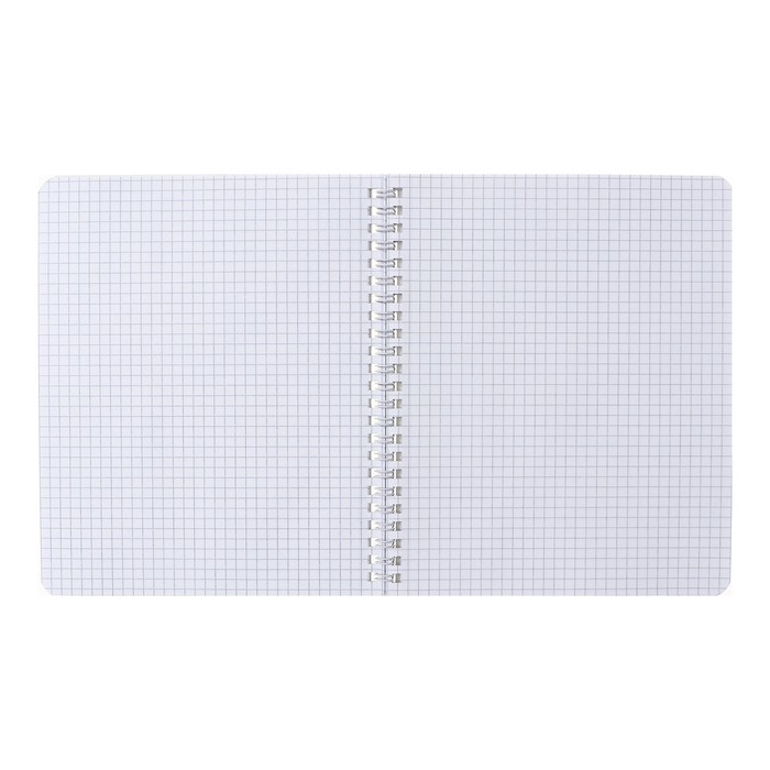 Тетрадь 48 листов в клетку, на гребне Тетрадь 48 листов в клетку, на гребне "Волшебные глаза", обложка мелованный картон, матовая ламинация, 3D-лак, блок 65 г/м2, МИКС