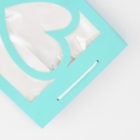 Пакет подарочный с фигурным окном, 20 х 16 х 30 см, голубой Пакет подарочный с фигурным окном, 20 х 16 х 30 см, голубой